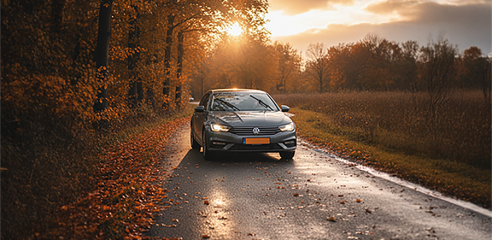 Autotips voor de herfst